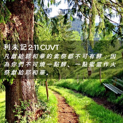 Picture 02 - 利 未 記 2:11 CUVT - 凡 獻 給 耶 和 華 的 素 祭 都 不 可 - Bible Verse Picture