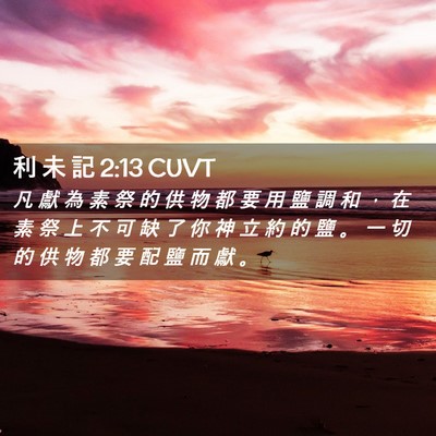 Picture 02 - 利 未 記 2:13 CUVT - 凡 獻 為 素 祭 的 供 物 都 要 用 鹽 - Bible Verse Picture