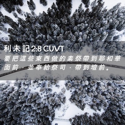Picture 02 - 利 未 記 2:8 CUVT - 要 把 這 些 東 西 做 的 素 祭 帶 到 - Bible Verse Picture