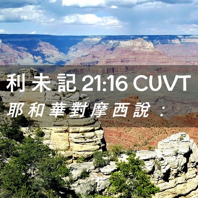 Picture 02 - 利 未 記 21:16 CUVT - 耶 和 華 對 摩 西 說 - Bible Verse Picture
