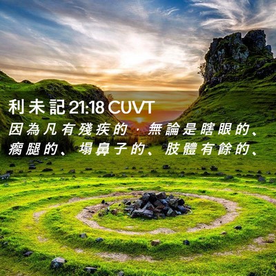 Picture 02 - 利 未 記 21:18 CUVT - 因 為 凡 有 殘 疾 的 ， 無 論 是 瞎 - Bible Verse Picture