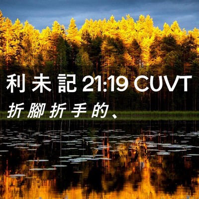 Picture 02 - 利 未 記 21:19 CUVT - 折 腳 折 手 的 - Bible Verse Picture