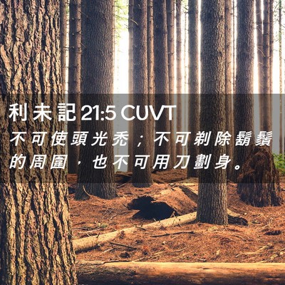 Picture 02 - 利 未 記 21:5 CUVT - 不 可 使 頭 光 禿 ； 不 可 剃 除 鬍 - Bible Verse Picture