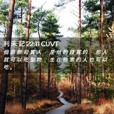 Picture 02 - 利 未 記 22:11 CUVT - 倘 若 祭 司 買 人 ， 是 他 的 錢 買 - Bible Verse Picture