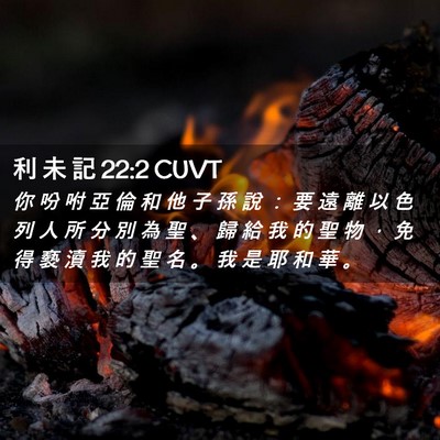 Picture 02 - 利 未 記 22:2 CUVT - 你 吩 咐 亞 倫 和 他 子 孫 說 ： 要 - Bible Verse Picture
