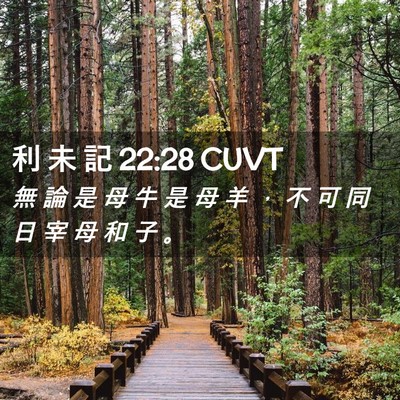 Picture 02 - 利 未 記 22:28 CUVT - 無 論 是 母 牛 是 母 羊 ， 不 可 同 - Bible Verse Picture