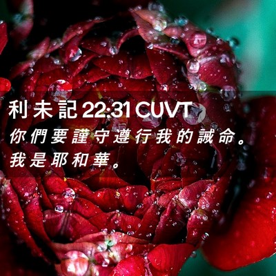 Picture 02 - 利 未 記 22:31 CUVT - 你 們 要 謹 守 遵 行 我 的 誡 命 。 - Bible Verse Picture