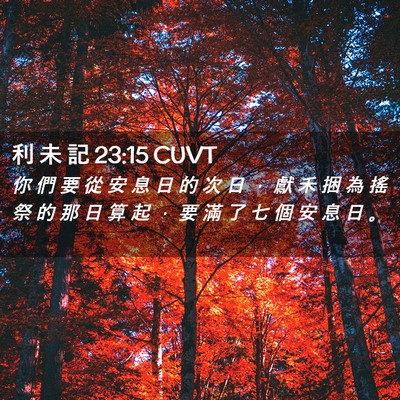 Picture 02 - 利 未 記 23:15 CUVT - 你 們 要 從 安 息 日 的 次 日 ， 獻 - Bible Verse Picture