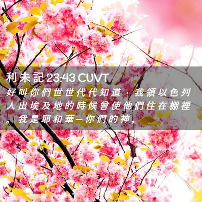 Picture 02 - 利 未 記 23:43 CUVT - 好 叫 你 們 世 世 代 代 知 道 ， 我 - Bible Verse Picture