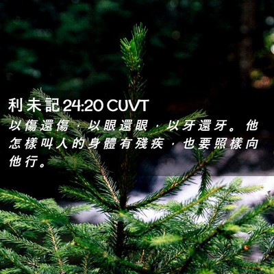Picture 02 - 利 未 記 24:20 CUVT - 以 傷 還 傷 ， 以 眼 還 眼 ， 以 牙 - Bible Verse Picture