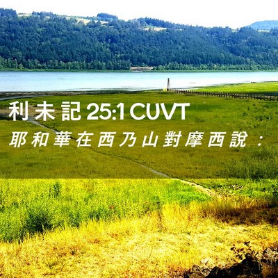 Picture 02 - 利 未 記 25:1 CUVT - 耶 和 華 在 西 乃 山 對 摩 西 說 - Bible Verse Picture