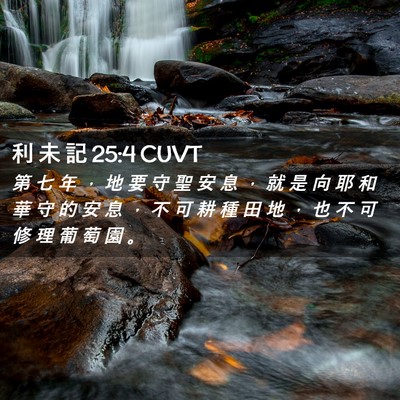 Picture 02 - 利 未 記 25:4 CUVT - 第 七 年 ， 地 要 守 聖 安 息 ， 就 - Bible Verse Picture