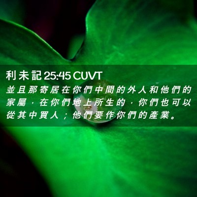 Picture 02 - 利 未 記 25:45 CUVT - 並 且 那 寄 居 在 你 們 中 間 的 外 - Bible Verse Picture
