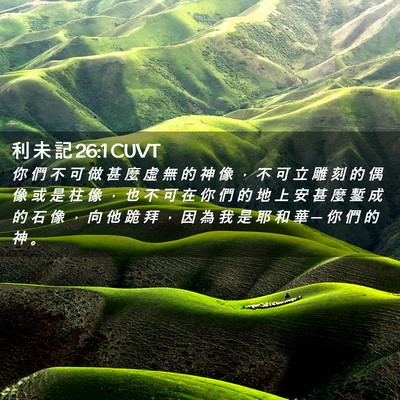 Picture 02 - 利 未 記 26:1 CUVT - 你 們 不 可 做 甚 麼 虛 無 的 神 像 - Bible Verse Picture