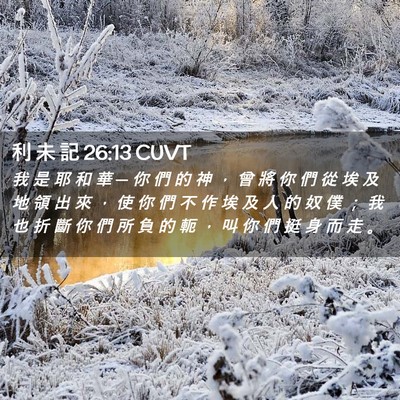 Picture 02 - 利 未 記 26:13 CUVT - 我 是 耶 和 華 ─ 你 們 的 神 ， 曾 - Bible Verse Picture