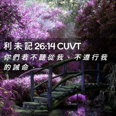 Picture 02 - 利 未 記 26:14 CUVT - 你 們 若 不 聽 從 我 ， 不 遵 行 我 - Bible Verse Picture