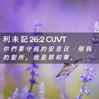 Picture 02 - 利 未 記 26:2 CUVT - 你 們 要 守 我 的 安 息 日 ， 敬 我 - Bible Verse Picture