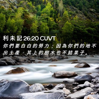 Picture 02 - 利 未 記 26:20 CUVT - 你 們 要 白 白 的 勞 力 ； 因 為 你 - Bible Verse Picture