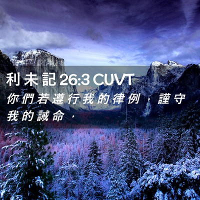 Picture 02 - 利 未 記 26:3 CUVT - 你 們 若 遵 行 我 的 律 例 ， 謹 守 - Bible Verse Picture