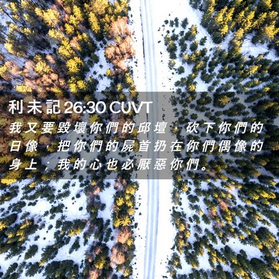 Picture 02 - 利 未 記 26:30 CUVT - 我 又 要 毀 壞 你 們 的 邱 壇 ， 砍 - Bible Verse Picture