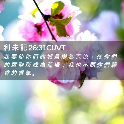 Picture 02 - 利 未 記 26:31 CUVT - 我 要 使 你 們 的 城 邑 變 為 荒 涼 - Bible Verse Picture