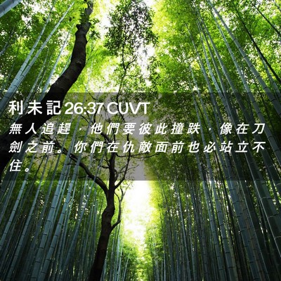 Picture 02 - 利 未 記 26:37 CUVT - 無 人 追 趕 ， 他 們 要 彼 此 撞 跌 - Bible Verse Picture