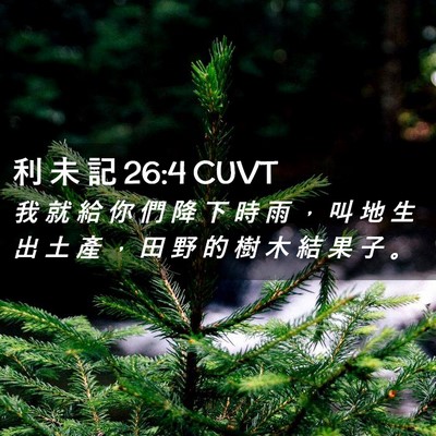 Picture 02 - 利 未 記 26:4 CUVT - 我 就 給 你 們 降 下 時 雨 ， 叫 地 - Bible Verse Picture