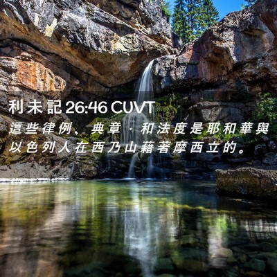 Picture 02 - 利 未 記 26:46 CUVT - 這 些 律 例 、 典 章 ， 和 法 度 是 - Bible Verse Picture