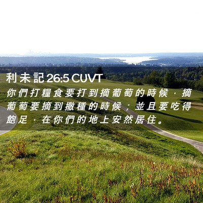 Picture 02 - 利 未 記 26:5 CUVT - 你 們 打 糧 食 要 打 到 摘 葡 萄 的 - Bible Verse Picture
