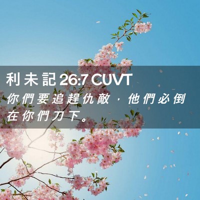 Picture 02 - 利 未 記 26:7 CUVT - 你 們 要 追 趕 仇 敵 ， 他 們 必 倒 - Bible Verse Picture