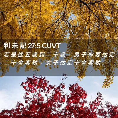 Picture 02 - 利 未 記 27:5 CUVT - 若 是 從 五 歲 到 二 十 歲 ， 男 子 - Bible Verse Picture