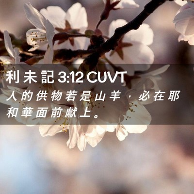Picture 02 - 利 未 記 3:12 CUVT - 人 的 供 物 若 是 山 羊 ， 必 在 耶 - Bible Verse Picture