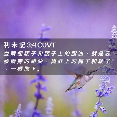 Picture 02 - 利 未 記 3:4 CUVT - 並 兩 個 腰 子 和 腰 子 上 的 脂 油 - Bible Verse Picture