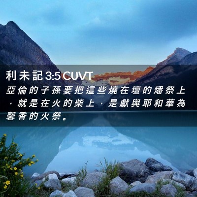 Picture 02 - 利 未 記 3:5 CUVT - 亞 倫 的 子 孫 要 把 這 些 燒 在 壇 - Bible Verse Picture