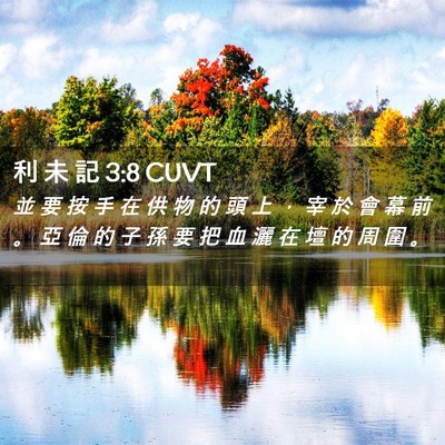 Picture 02 - 利 未 記 3:8 CUVT - 並 要 按 手 在 供 物 的 頭 上 ， 宰 - Bible Verse Picture
