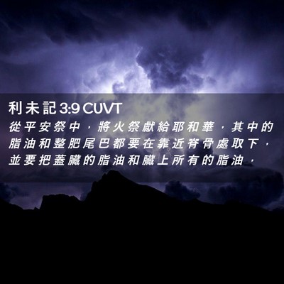 Picture 02 - 利 未 記 3:9 CUVT - 從 平 安 祭 中 ， 將 火 祭 獻 給 耶 - Bible Verse Picture