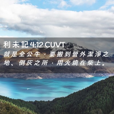 Picture 02 - 利 未 記 4:12 CUVT - 就 是 全 公 牛 ， 要 搬 到 營 外 潔 - Bible Verse Picture