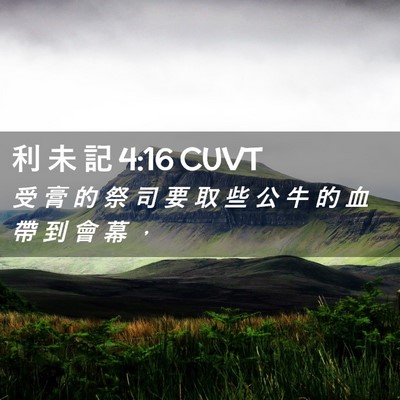 Picture 02 - 利 未 記 4:16 CUVT - 受 膏 的 祭 司 要 取 些 公 牛 的 血 - Bible Verse Picture