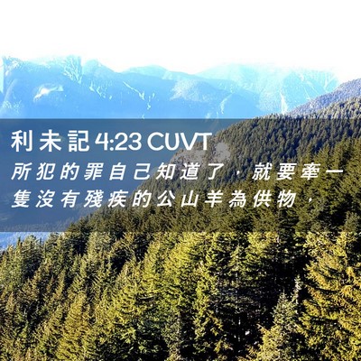 Picture 02 - 利 未 記 4:23 CUVT - 所 犯 的 罪 自 己 知 道 了 ， 就 要 - Bible Verse Picture