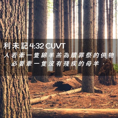Picture 02 - 利 未 記 4:32 CUVT - 人 若 牽 一 隻 綿 羊 羔 為 贖 罪 祭 - Bible Verse Picture