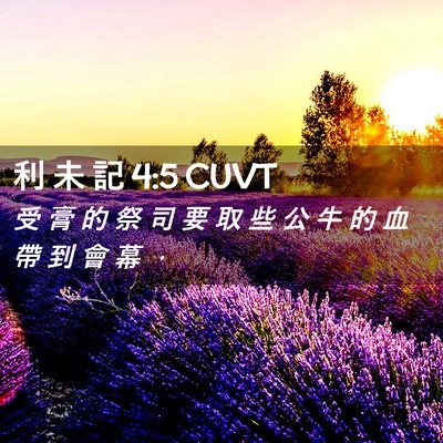 Picture 02 - 利 未 記 4:5 CUVT - 受 膏 的 祭 司 要 取 些 公 牛 的 血 - Bible Verse Picture