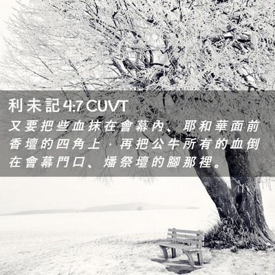 Picture 02 - 利 未 記 4:7 CUVT - 又 要 把 些 血 抹 在 會 幕 內 、 耶 - Bible Verse Picture