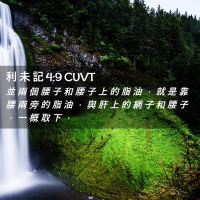 Picture 02 - 利 未 記 4:9 CUVT - 並 兩 個 腰 子 和 腰 子 上 的 脂 油 - Bible Verse Picture