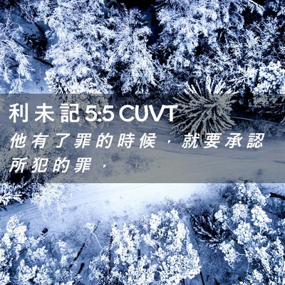 Picture 02 - 利 未 記 5:5 CUVT - 他 有 了 罪 的 時 候 ， 就 要 承 認 - Bible Verse Picture