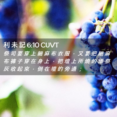 Picture 02 - 利 未 記 6:10 CUVT - 祭 司 要 穿 上 細 麻 布 衣 服 ， 又 - Bible Verse Picture