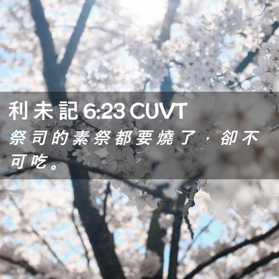 Picture 02 - 利 未 記 6:23 CUVT - 祭 司 的 素 祭 都 要 燒 了 ， 卻 不 - Bible Verse Picture