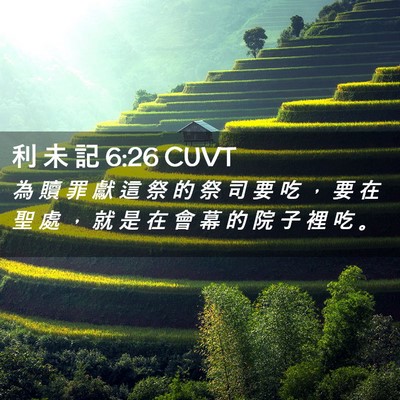 Picture 02 - 利 未 記 6:26 CUVT - 為 贖 罪 獻 這 祭 的 祭 司 要 吃 ， - Bible Verse Picture