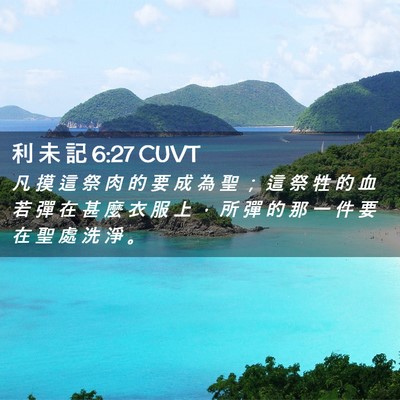 Picture 02 - 利 未 記 6:27 CUVT - 凡 摸 這 祭 肉 的 要 成 為 聖 ； 這 - Bible Verse Picture