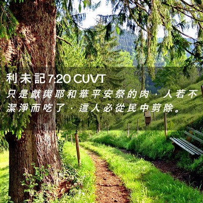Picture 02 - 利 未 記 7:20 CUVT - 只 是 獻 與 耶 和 華 平 安 祭 的 肉 - Bible Verse Picture