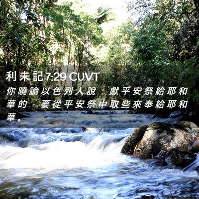 Picture 02 - 利 未 記 7:29 CUVT - 你 曉 諭 以 色 列 人 說 ： 獻 平 安 - Bible Verse Picture